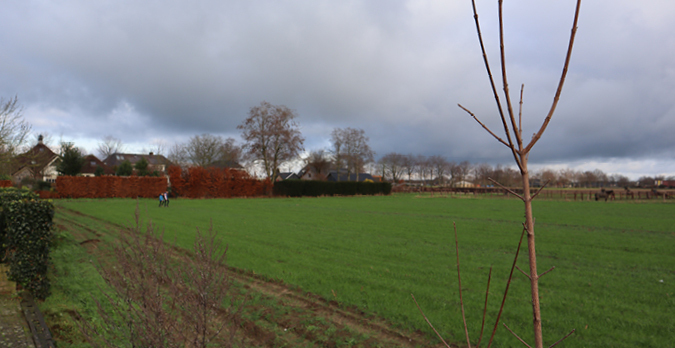 Opmaat_Wonen_Projectontwikkeling_Grid_image_landscape-1